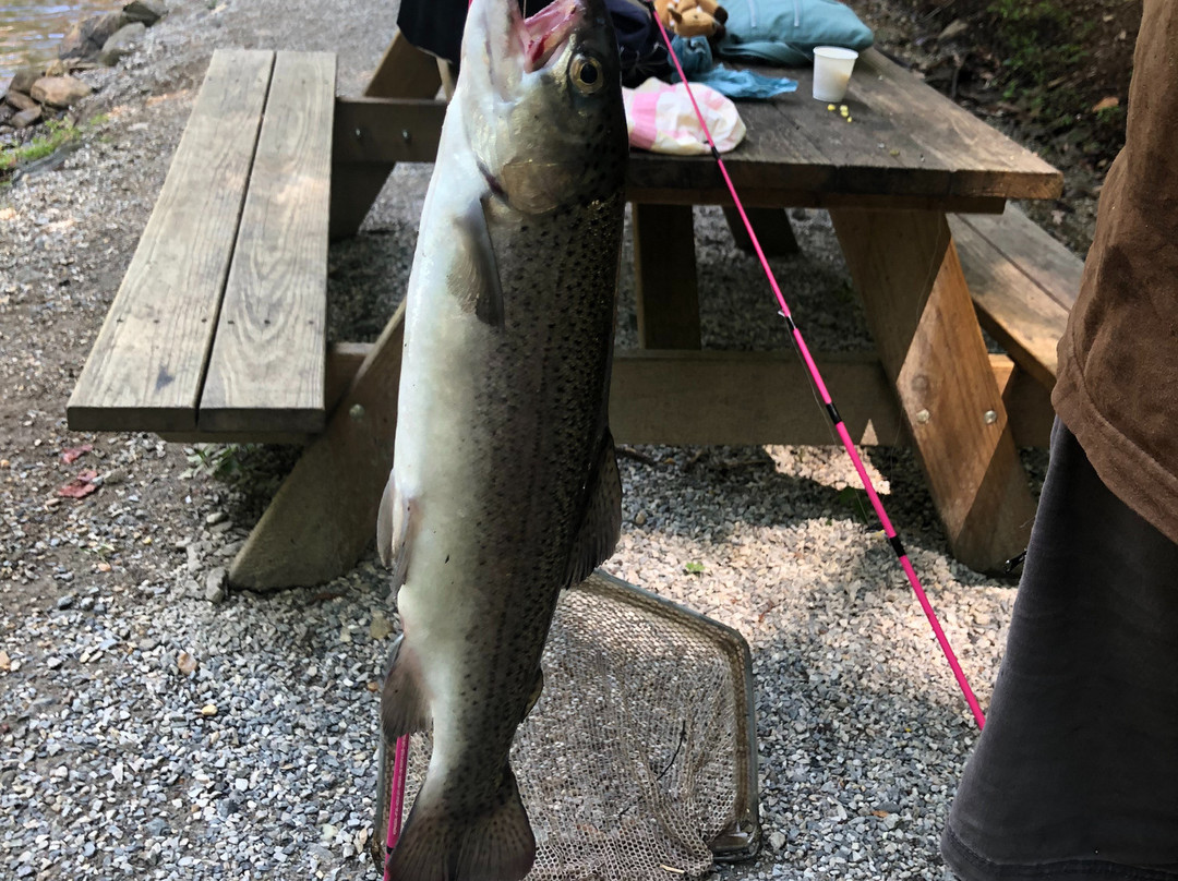 Buck Creek Trout Farm-Marion必去景点