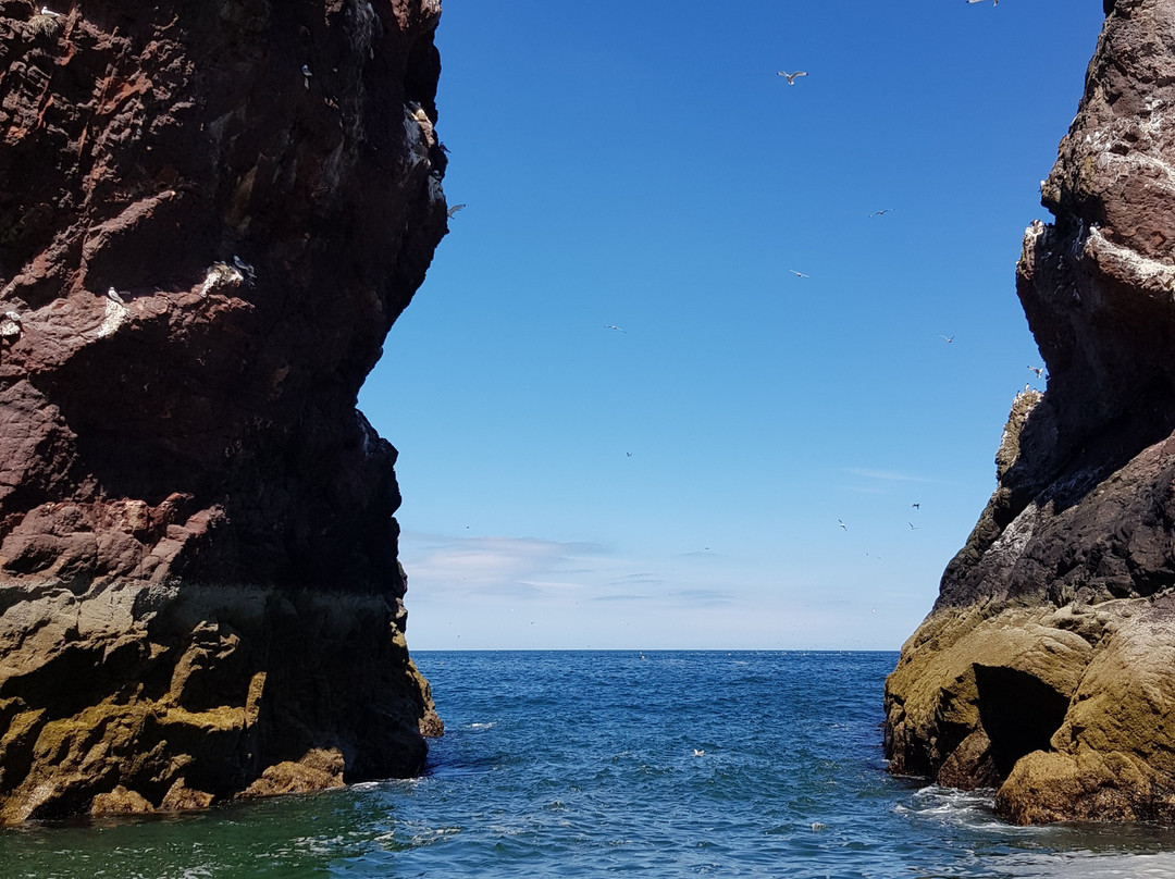 St Abbs Head National Nature Reserve景点图片