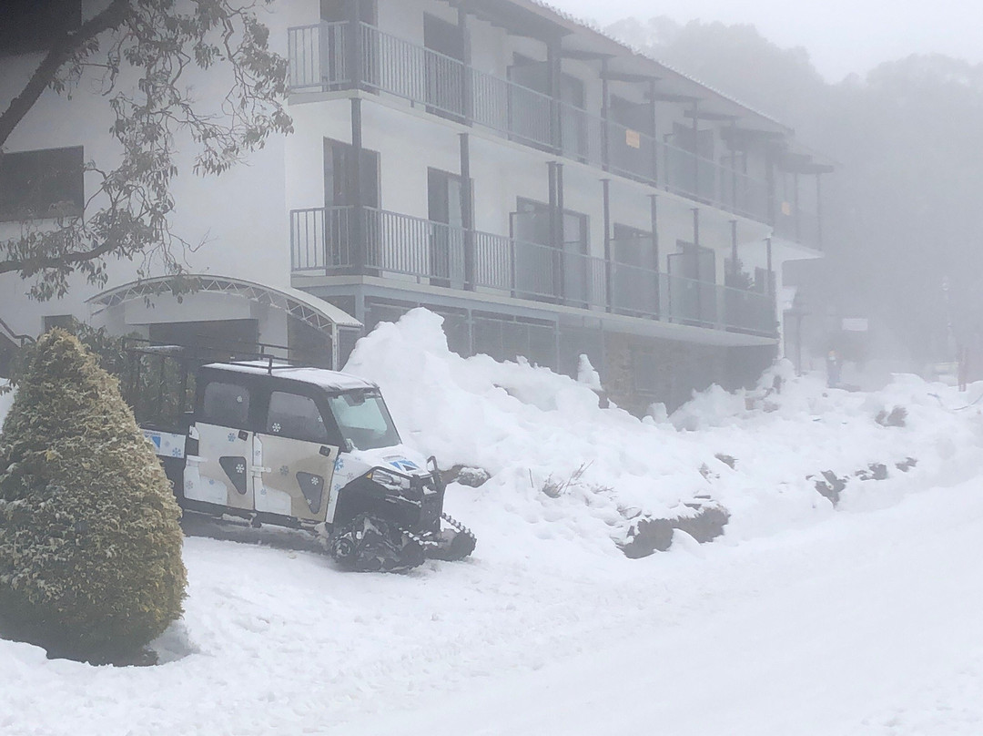 Koki Alpine Resort主图