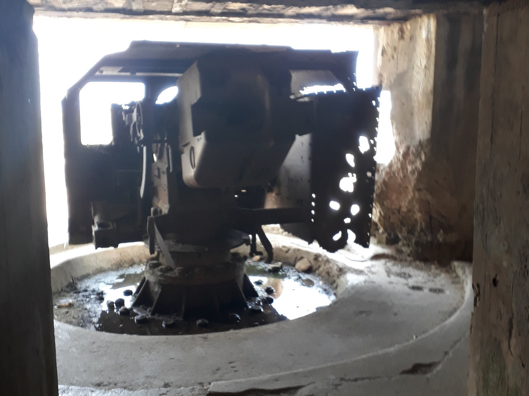 Batterie Allemande de Longues-Sure-Mer景点图片