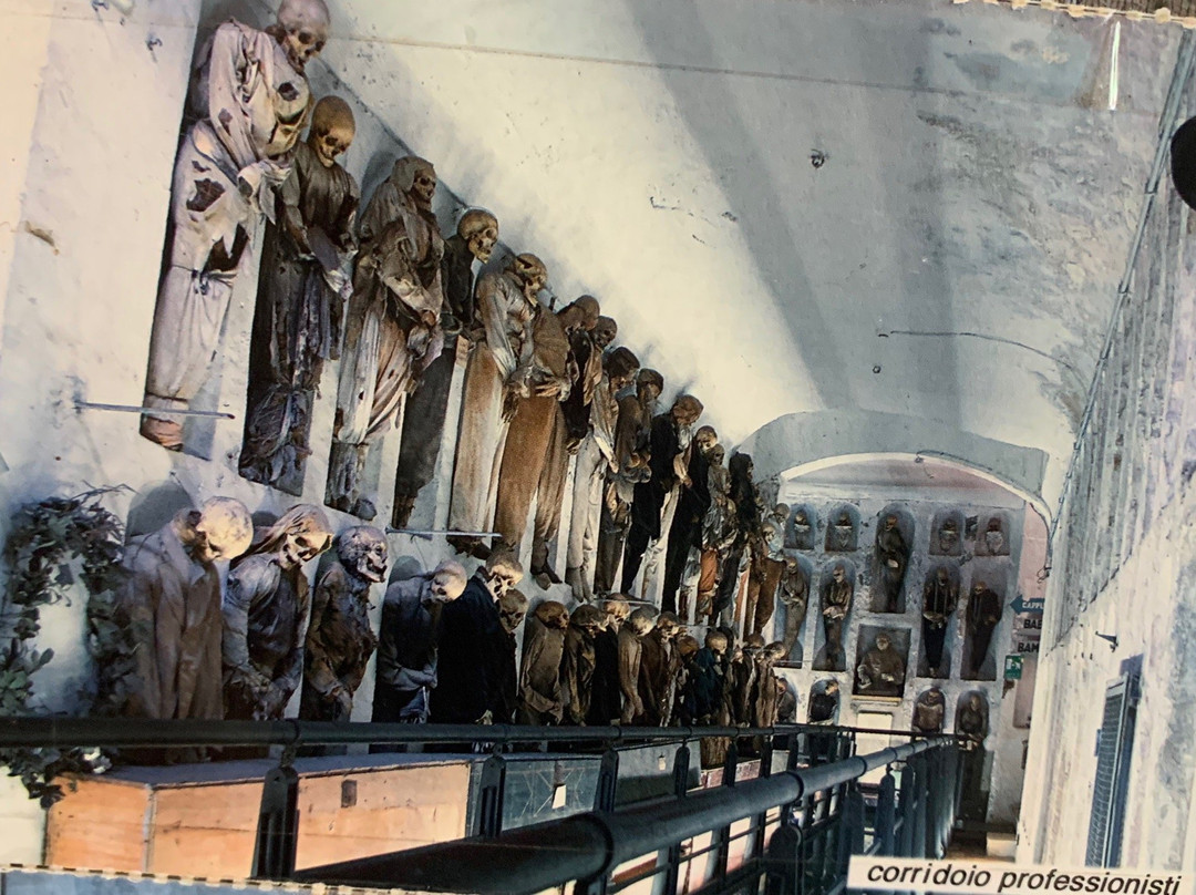 巴勒莫嘉布遗修院地下墓室景点图片