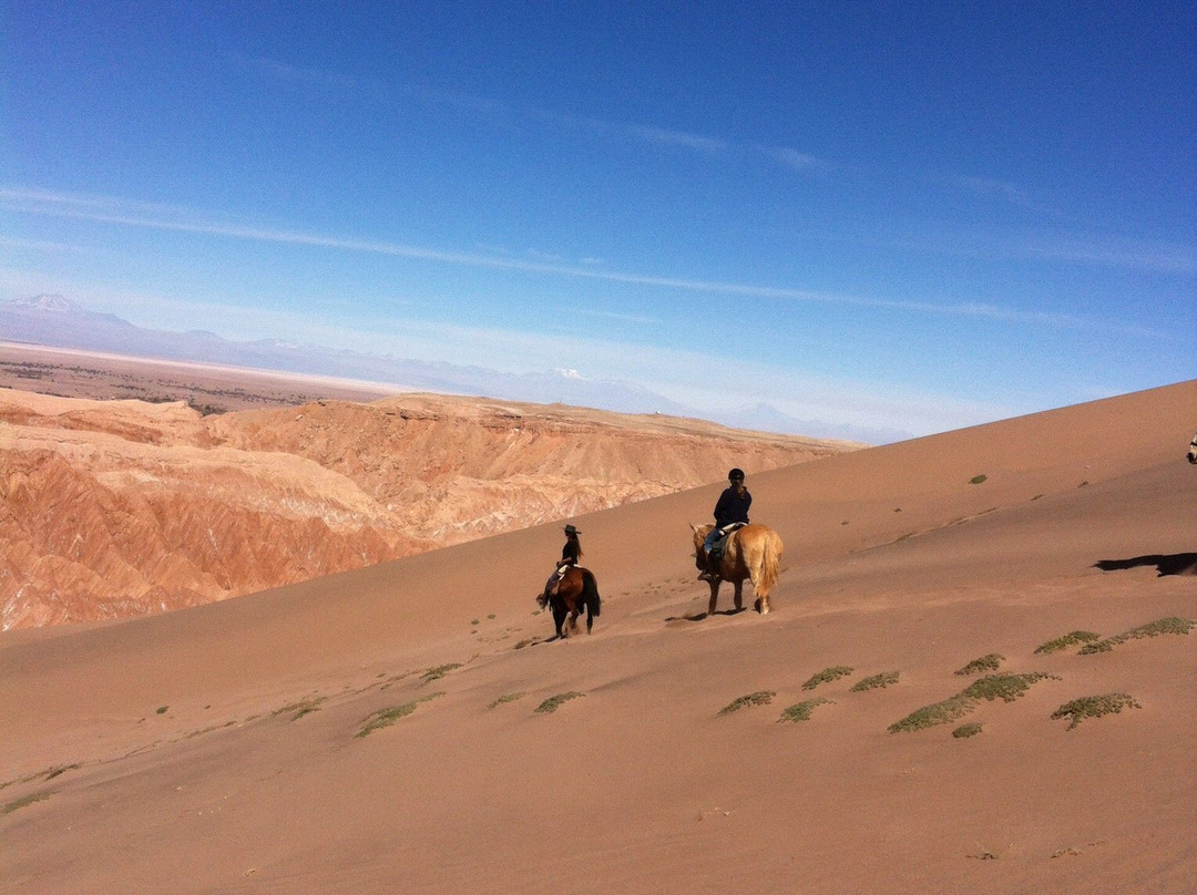 Atacama Horse Adventure景点图片