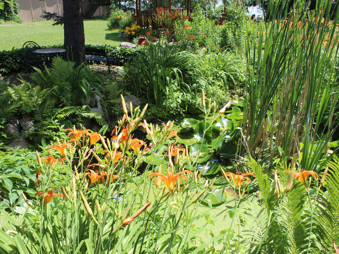 La Galerie B&B主图