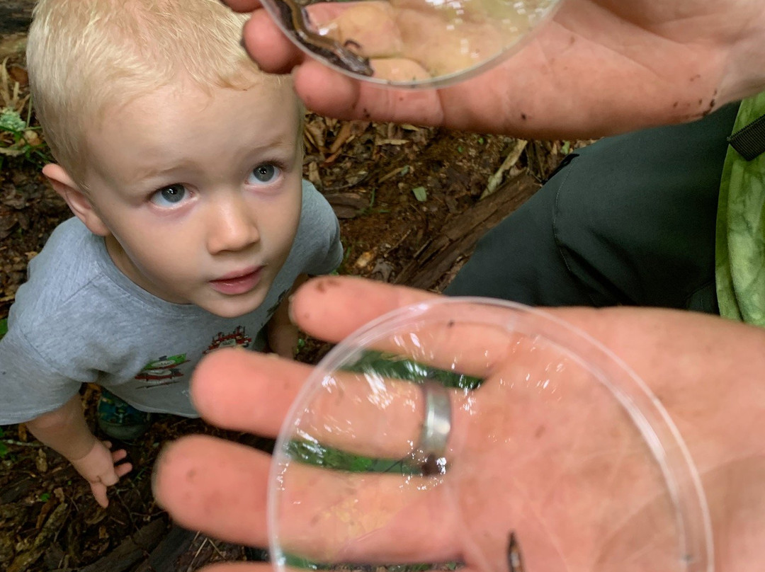 White Blaze Outdoors-Abingdon必去景点