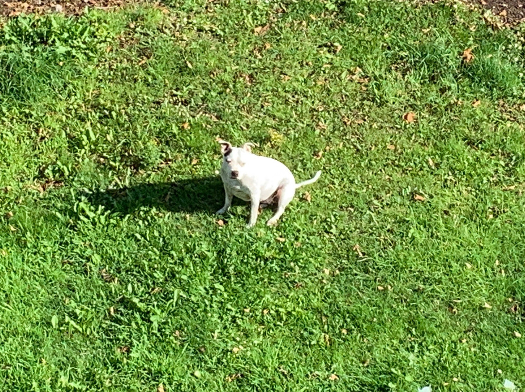 Teviotside Guest House主图