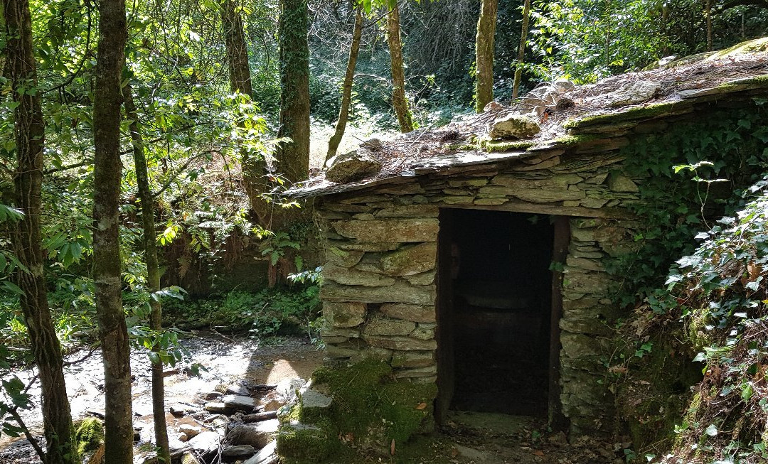 Mata da Margaraça-Arganil必去景点