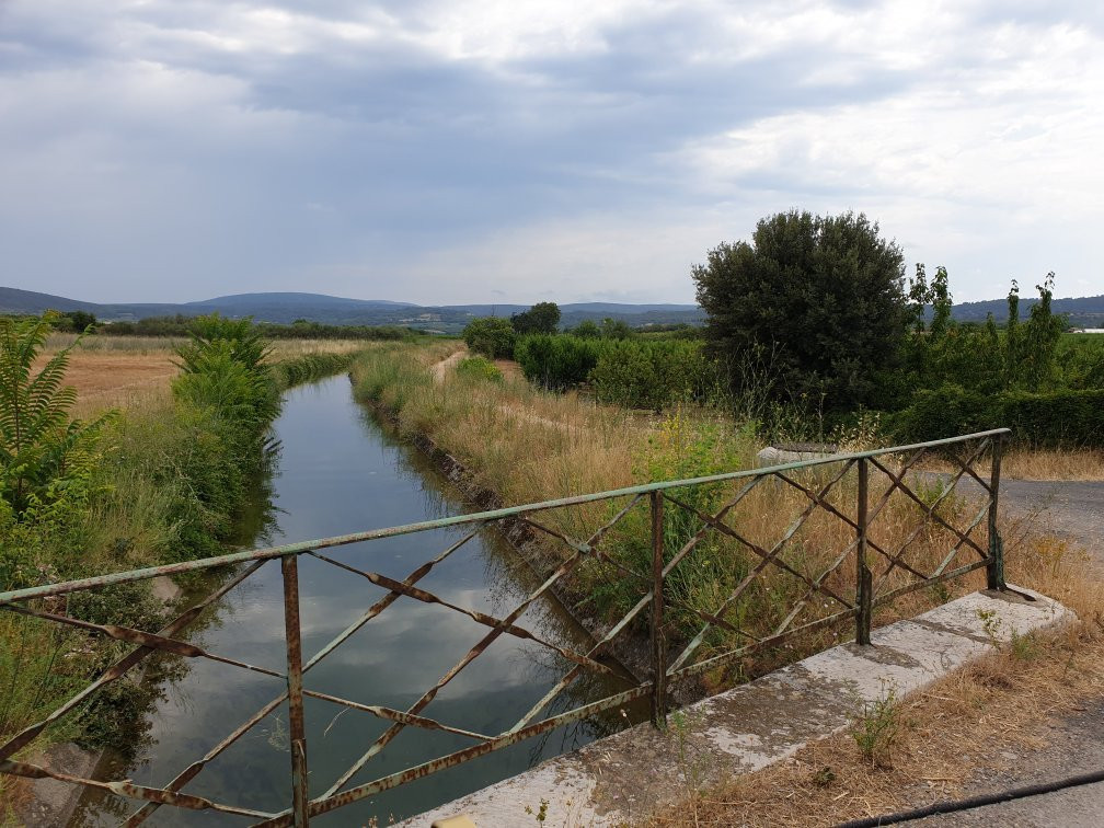Le Petit Train des Vignes du Domaine Alexandrin景点图片