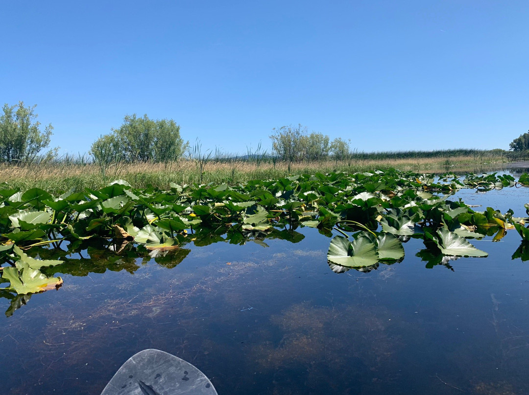 Sky Lakes Wilderness Adventures-Chiloquin必去景点