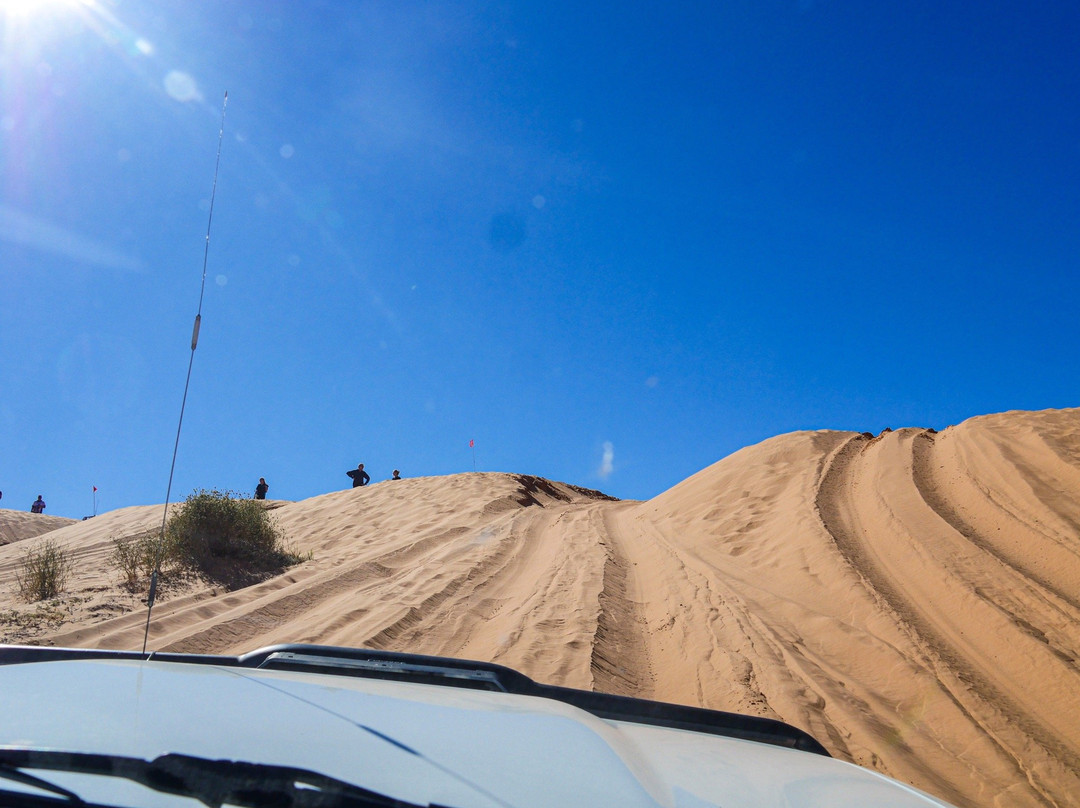 Munga-Thirri (Simpson Desert) National Park-Birdsville必去景点
