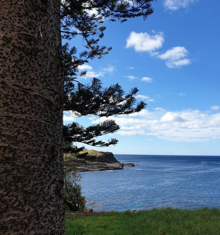 Kiama Cove Motel主图