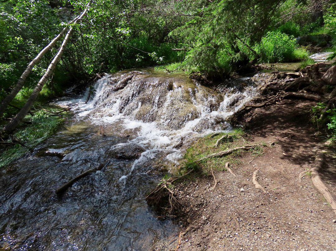 Big Hill Springs Provincial Park景点图片