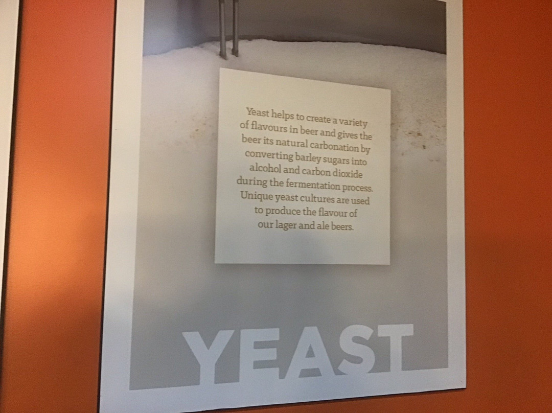 PEI Brewing Company-夏洛特镇必去景点