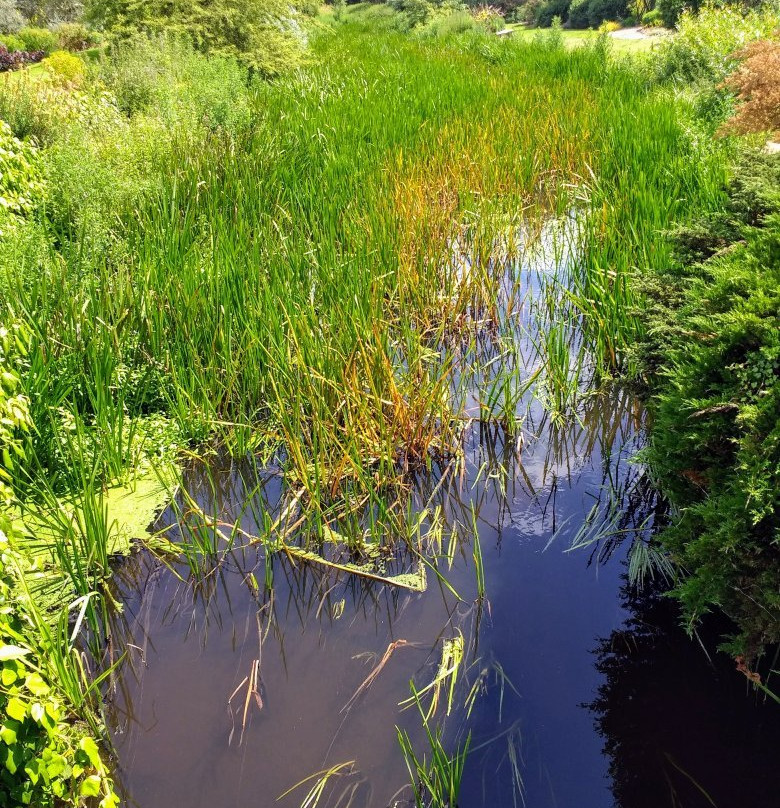 Fullers Mill Garden-West Stow必去景点