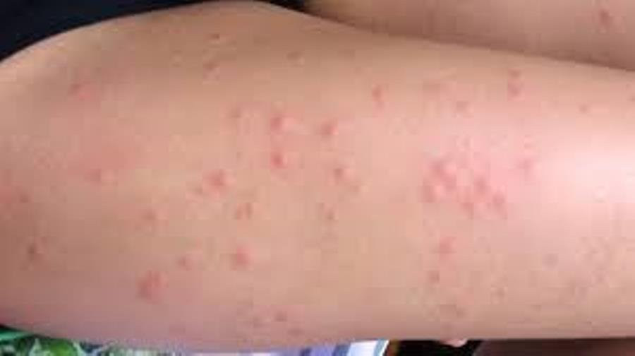 Escape Maze Incorporated-彼得伯勒必去景点