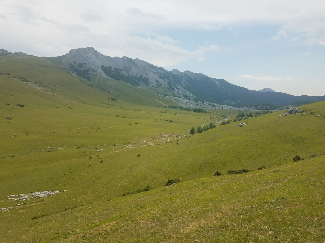 Borda Aranzazu主图