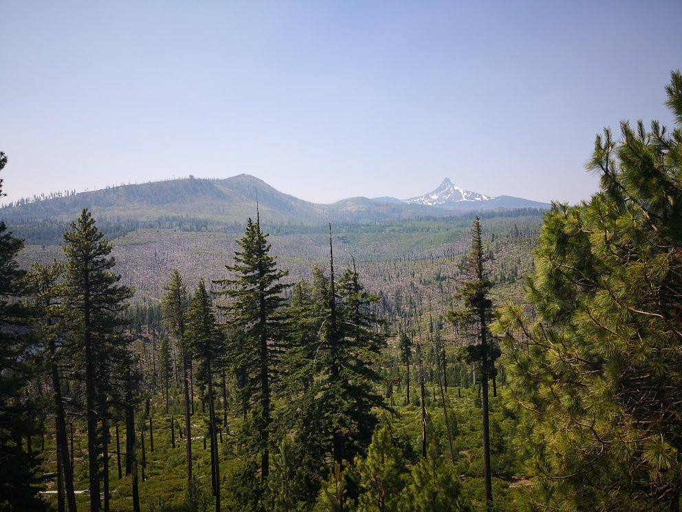 McKenzie Pass-Santiam Pass loop-Sisters必去景点