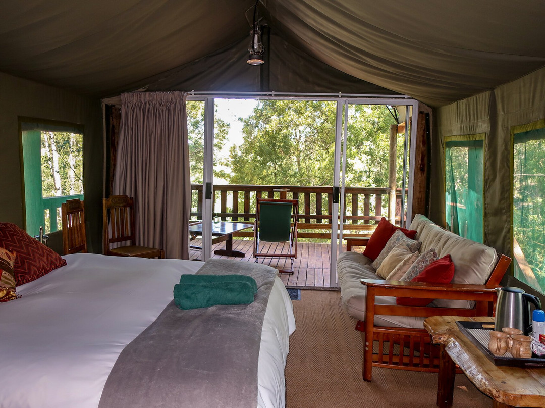 Fernhill Guest Farm & Tented Treehouses