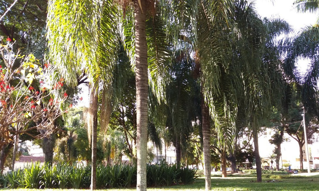 Praça Carlos Gomes-坎皮纳斯必去景点