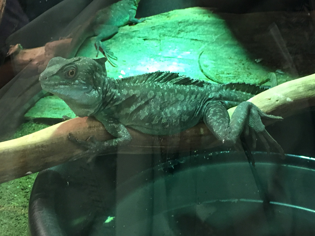 The Reptile Zoo-Monroe必去景点