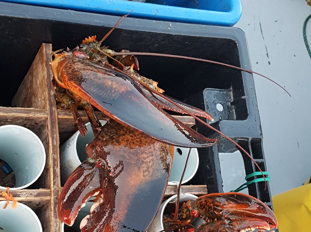 L'omirlou-Bonaventure必去景点