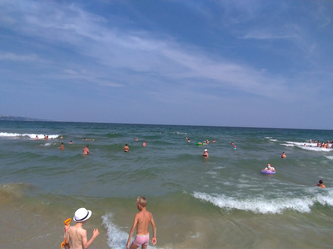 维塔公园酒店主图