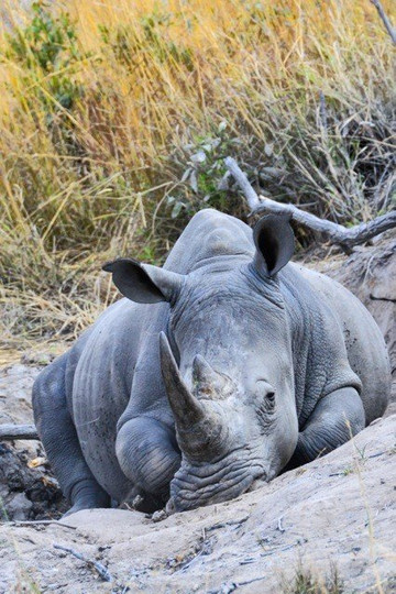 Place of Rock, Tours & Safaris-白河必去景点