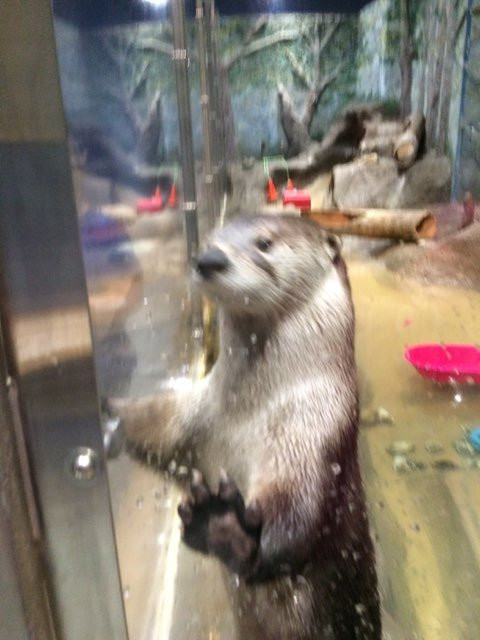 Delmarva Discovery Museum-Pocomoke City必去景点