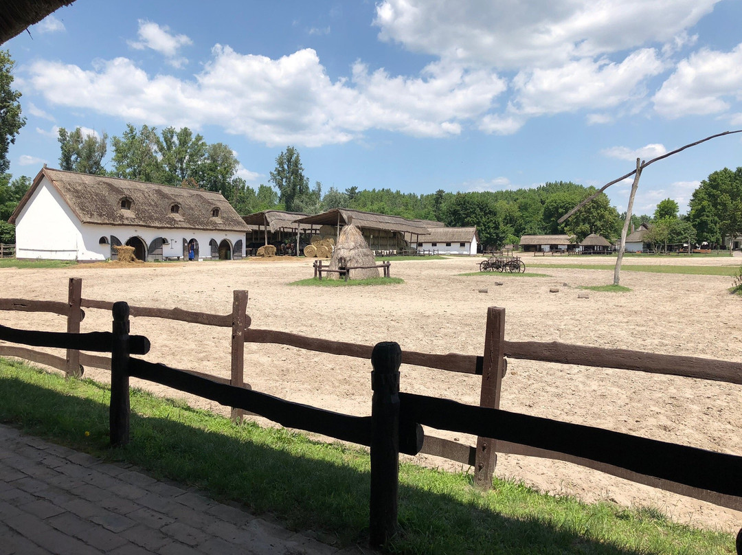 Varga Tanya Horse Show景点图片