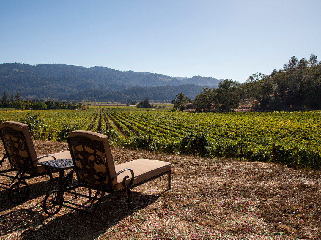 Kenefick Ranch Vineyard & Winery景点图片