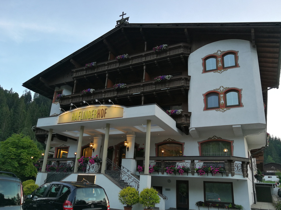 Hotel Haflingerhof主图