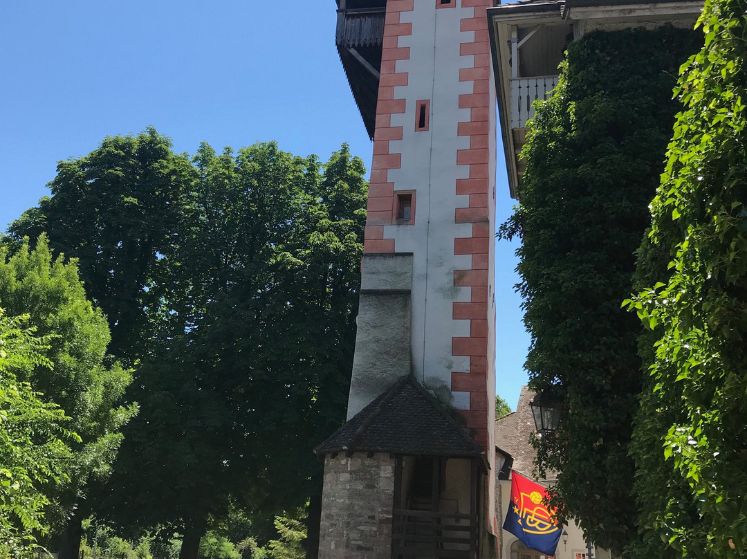 Storchennestturm-Rheinfelden必去景点