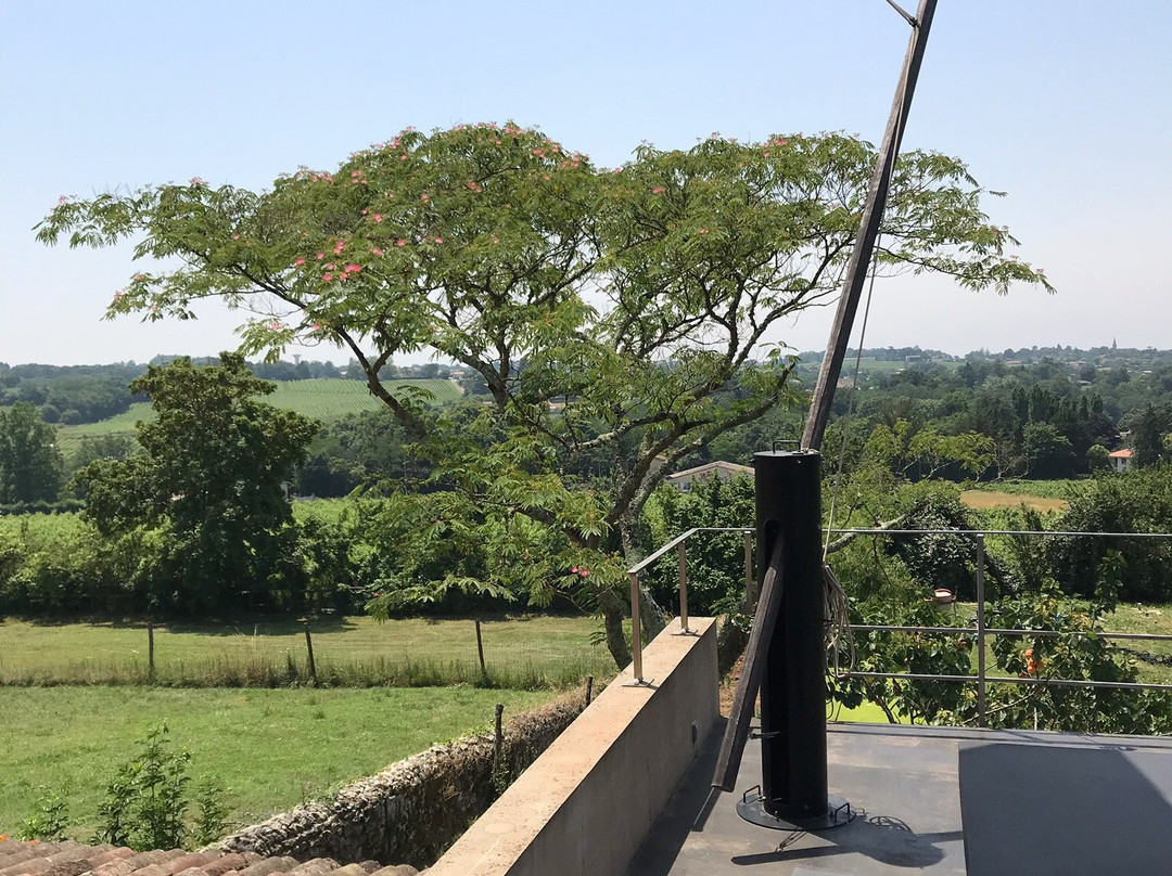 Chateau Du Tasta主图