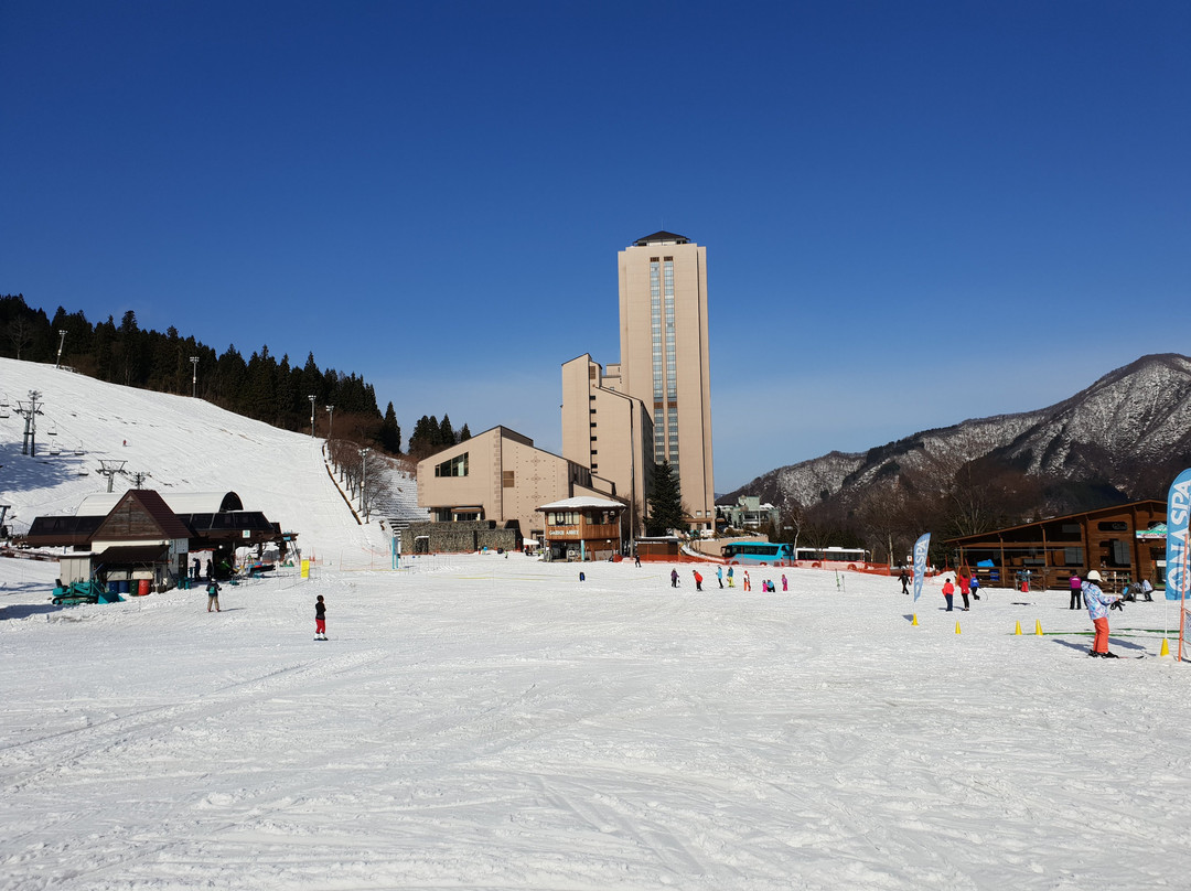 Naspa Ski Garden景点图片