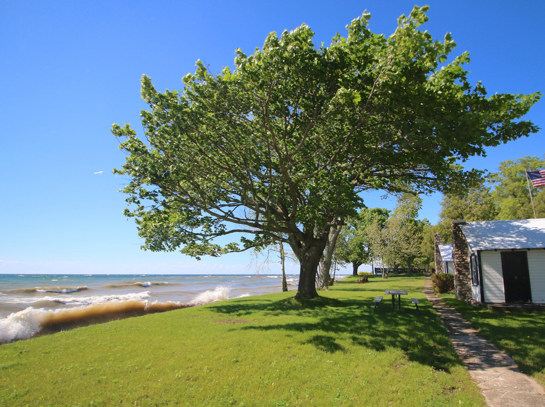 Rainbow Shores主图