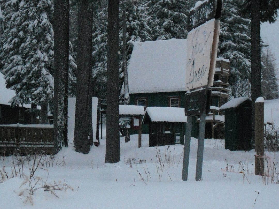 Spout Springs-Weston必去景点