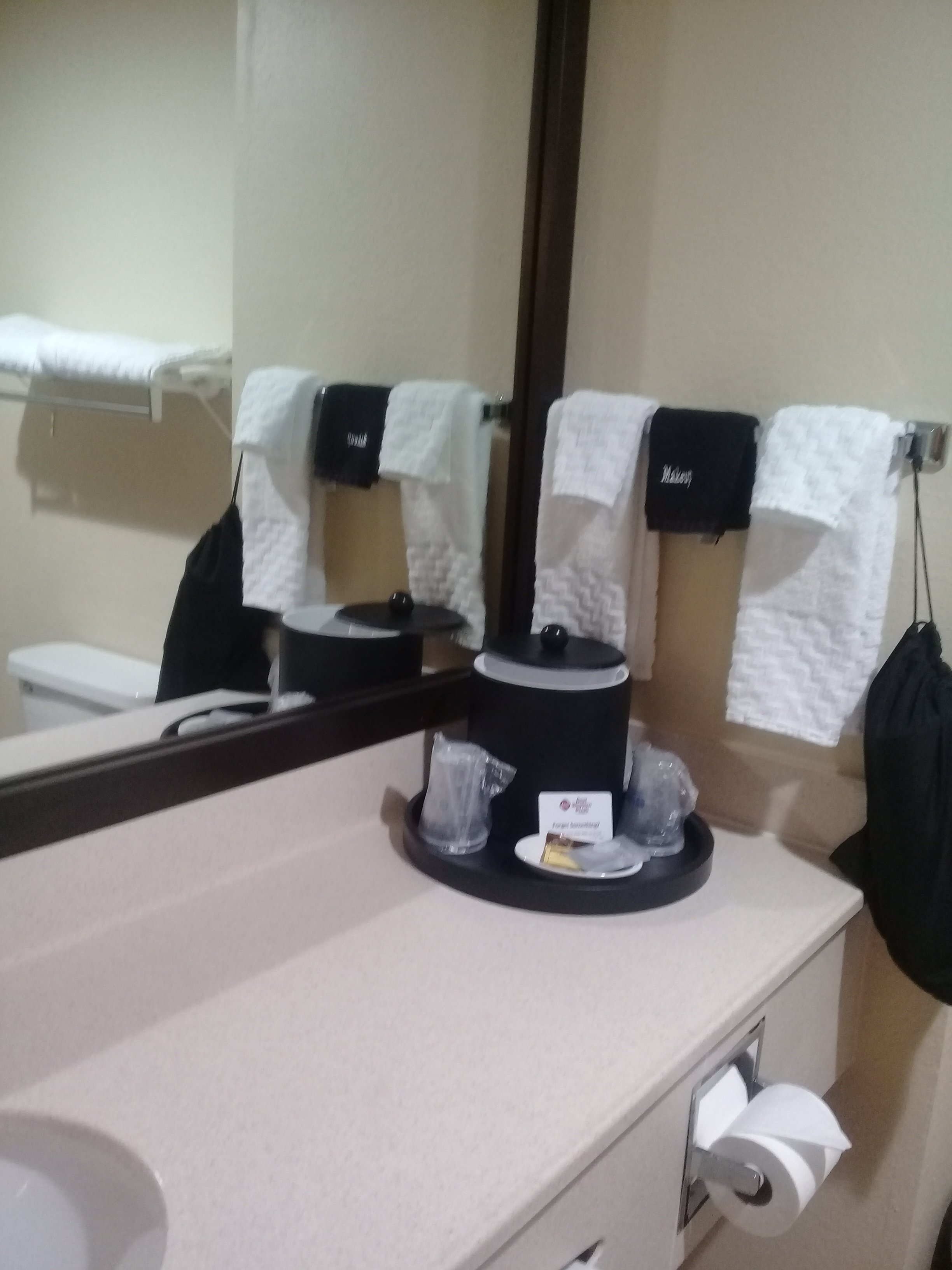 Best Western Plus Ruidoso Inn-浴室