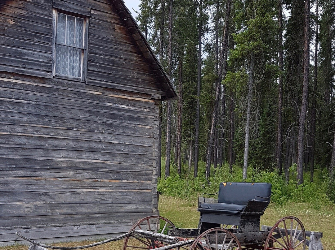 Whitecourt & District Forest Interpretive Centre景点图片