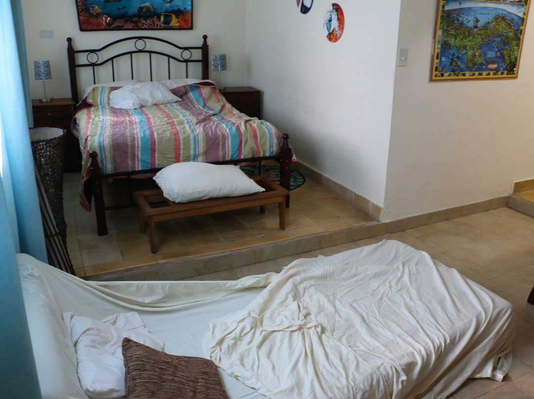 Casa Del Sol Bed And Breakfast主图