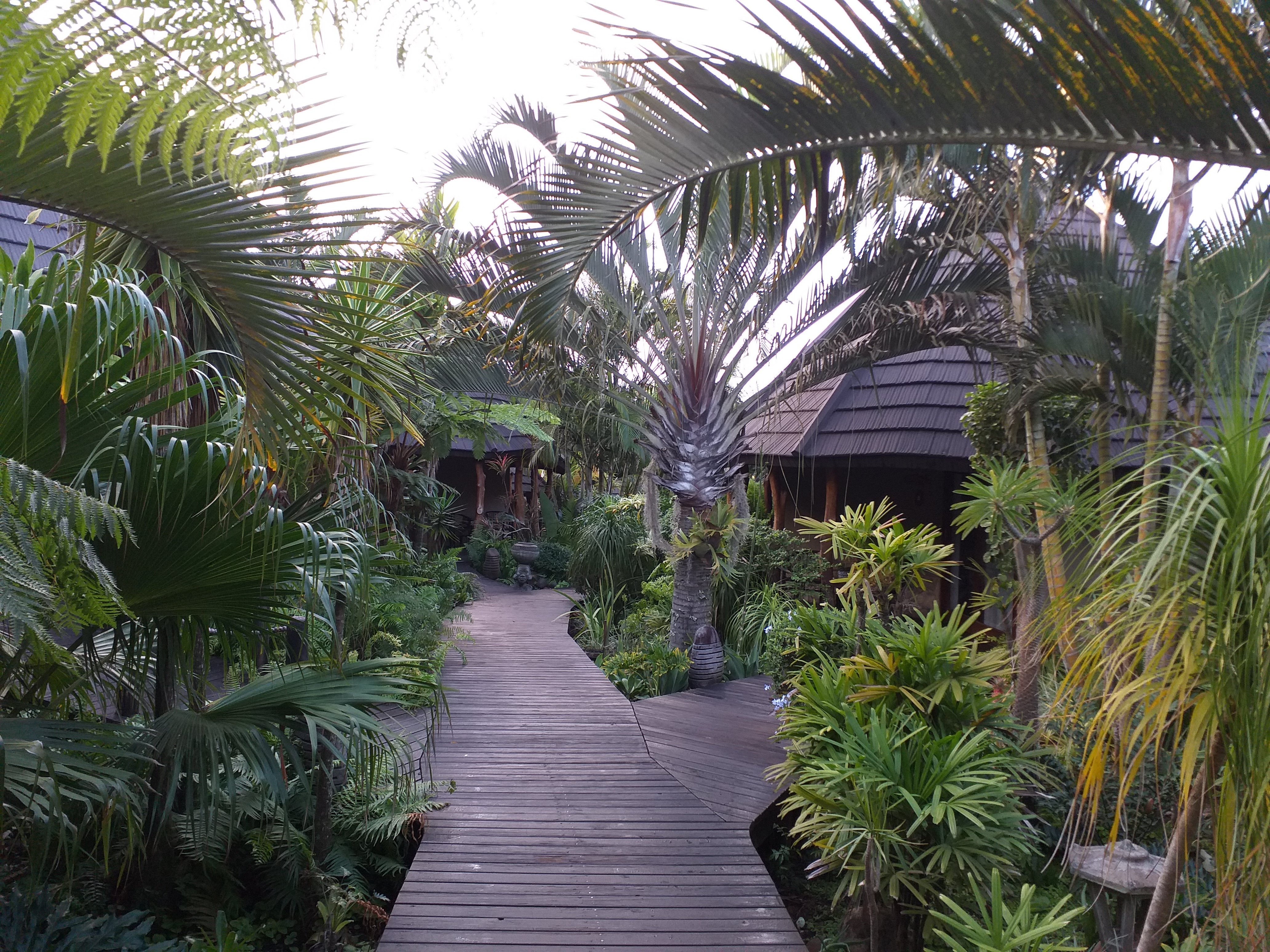 Lodge Afrique-官方