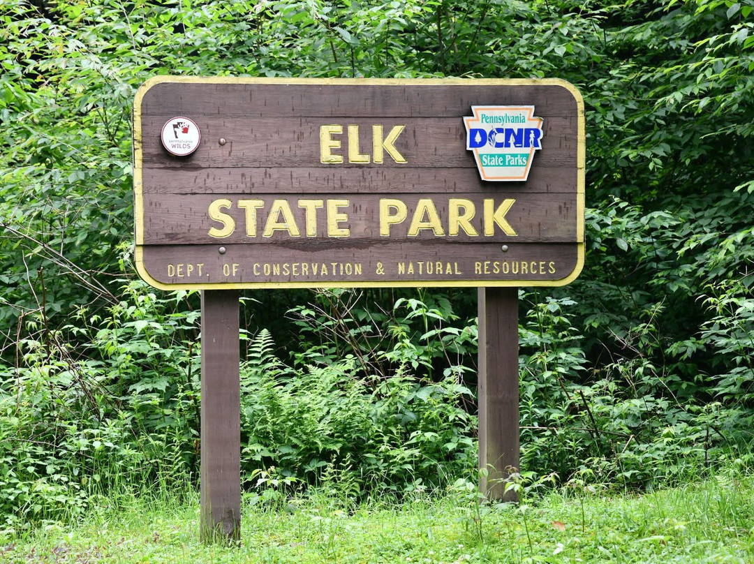 Elk State Park景点图片