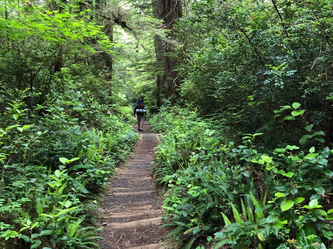 Ozette Loop Hike景点图片