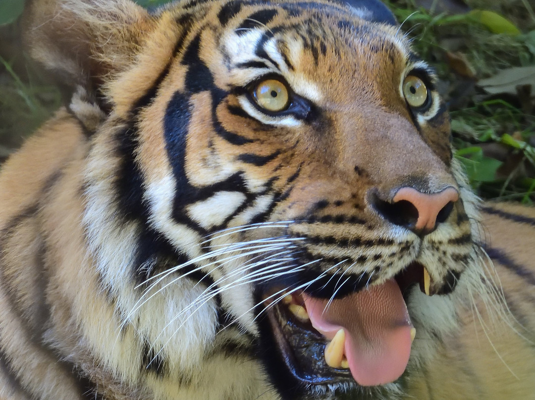 Alexandria Zoological Park景点图片