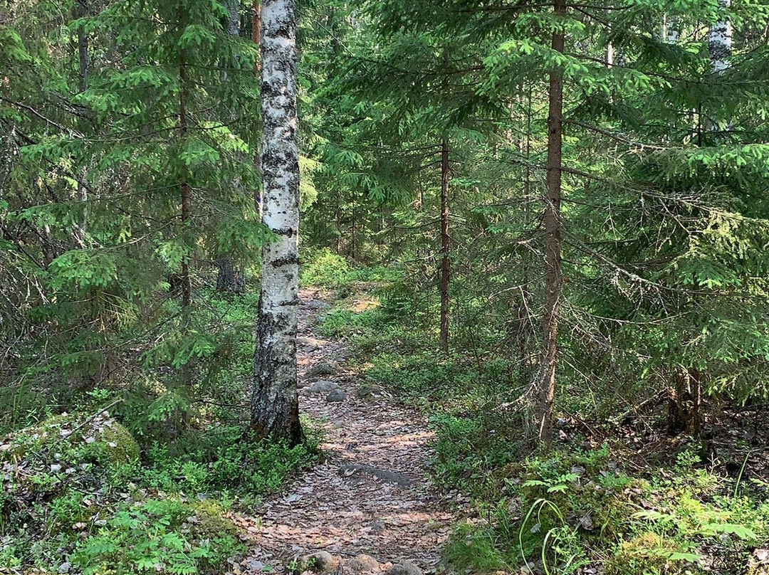 Kammiovuori Trail-Sysma必去景点