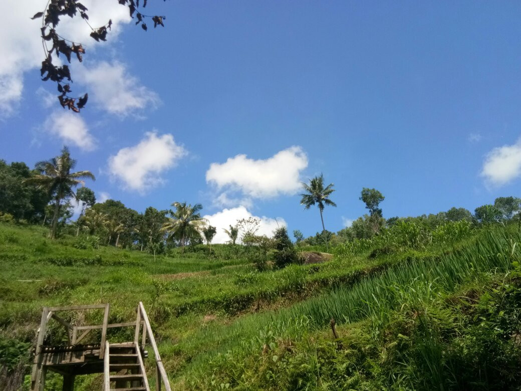 Kedung Kandang Waterfall景点图片