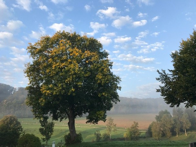 Landhotel Winter主图