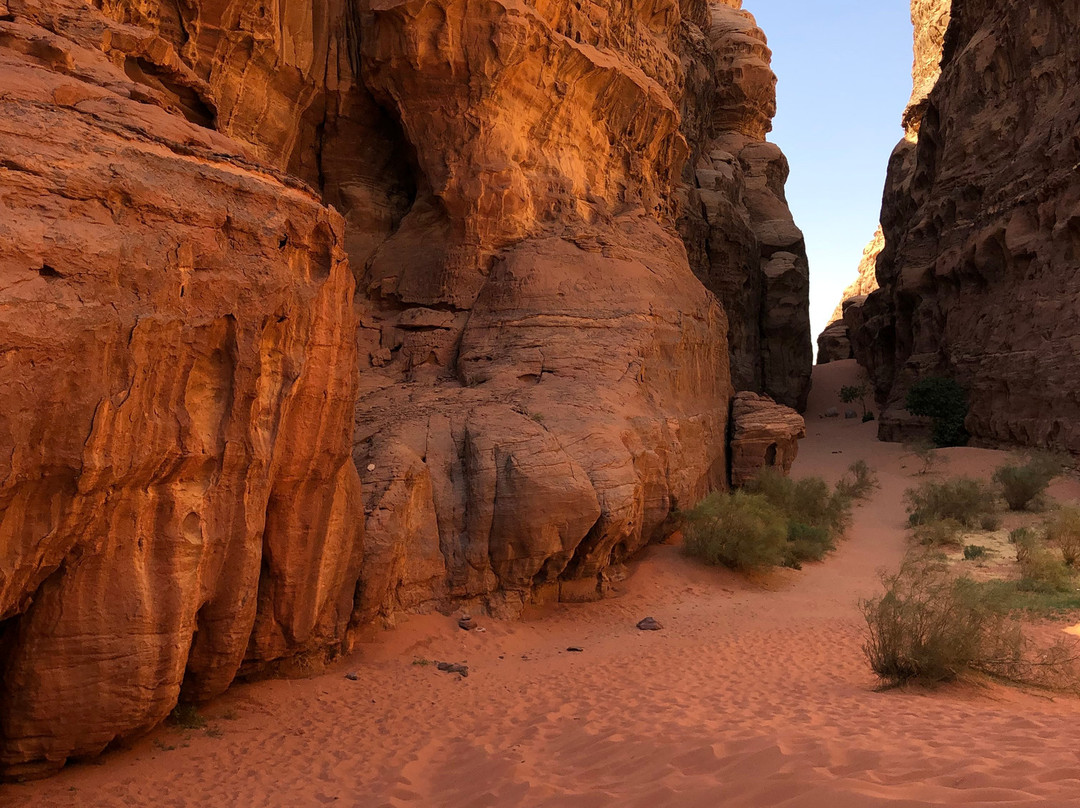 Bedouin Time景点图片
