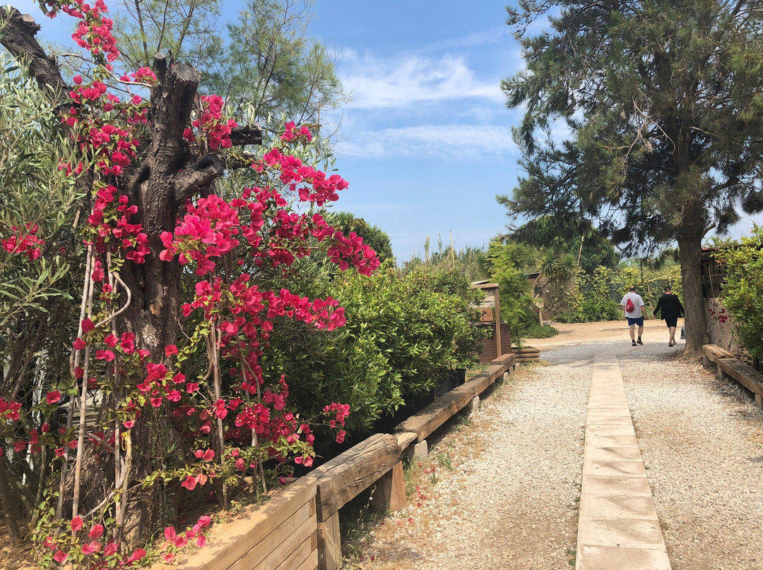Moraitis Beach-Marathon必去景点