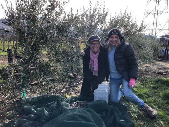 Desert Heart Estate-Bannockburn必去景点