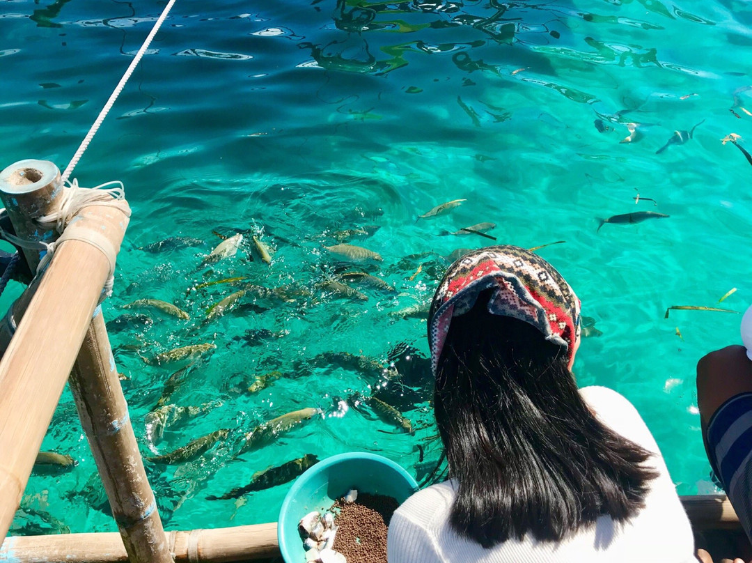 Juag Fish Sanctuary-Matnog必去景点