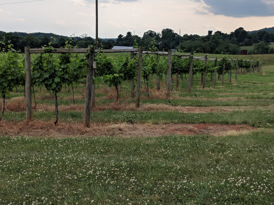 Honah Lee Vineyard-Gordonsville必去景点